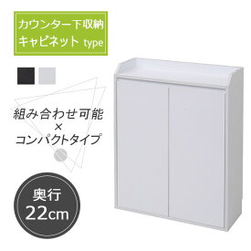 カウンター下収納 薄型 高さ80 奥行20 幅60 棚 キャビネット 扉付き 薄型 扉 送料無料