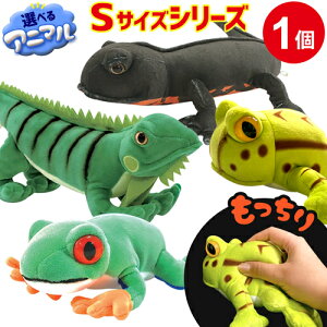 ybsOz STCY  ʂ b` C v[g 킢 JG COAi C Aj}  ʔ   IV CeA G ^ 