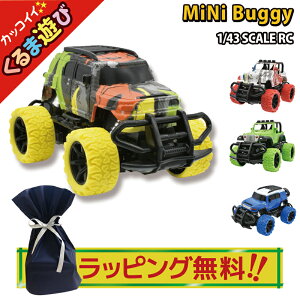 ybsOz WRJ[ q ~joM[ 1/43XP[ ^ WR  qǂ dr P3dr tt@NV   j̎q ̎q av[g NX}