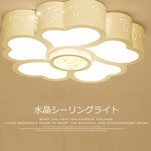 y[J[z LEDV[OCg 5000[ t a50cm V[OCg Hsv \ Rt V Ɩ  rO F߉\ CX  CeA 