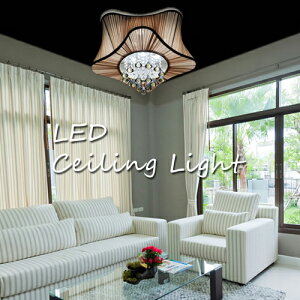 y[J[z ؂₩ V[OCg 5000[ LEDV[OCg t Hsv R V Ɩ LED  rO CeA ԐڏƖ VF[h  AeB[N 