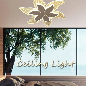 y[J[z ^ V[OCg  }`bN CeA 5000[ 킢 CeAƖ Q VƖ Ɩ V[O Ԃт ][g 썑 nCA r