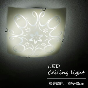 y[J[z  VƖ KXVF[h lp p^ LED V[OCg  F Rt a40cm 邢 4000lm V t Ɩ  ԕ {^jJ g _