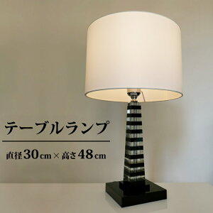 y[J[zH48cm fXNX^h mg[J[  NX^ VF[hv LEDΉ   e[uv e[uCg X^h ドCg ԐڏƖ CeA