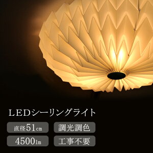 y[J[zLEDV[OCg 10 8 F Rt VƖ   a51cm v[c VF[h GKg S[WX fUCƖ  i k ؍ LEDCg