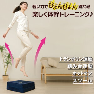 g| NbV 44×44cm ݑ䏸~ Xebv GNTTCY g[jO L_f^ lp _CGbg ~^ Xebp[ É ƒp ȒP Xc[ zc ֎q  I