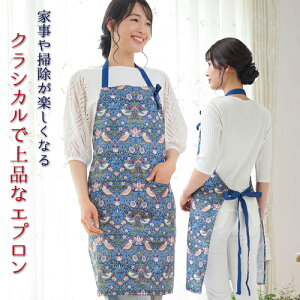 EBAEX D_ Gv  킢 Ǝ | z^[lbN q  R NVJ i fG y JtFGv lp Xny328568z