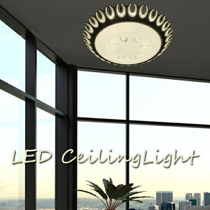 y[J[z  CeAƖ LEDV[OCg X^CbV   NAr[Y LEDV[OCg t Hsv Rt VƖ LED rO ԐڏƖ 