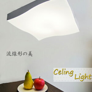 y[J[z XNGA VƖ V[OCg F 5000[ a50cm rOƖ lp Vv Cg fUC  lp R CeAƖ i` Ɩ