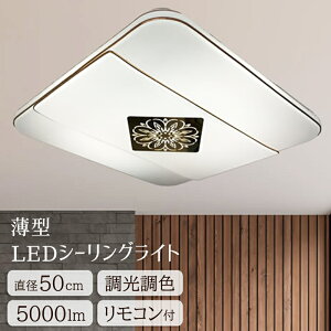 y[J[zp^V[O ^ LED  F 5000[ 邢 Rt a50cm CƖ _CjO Q rO LEDV[OCg V t Ɩ AeB[N  