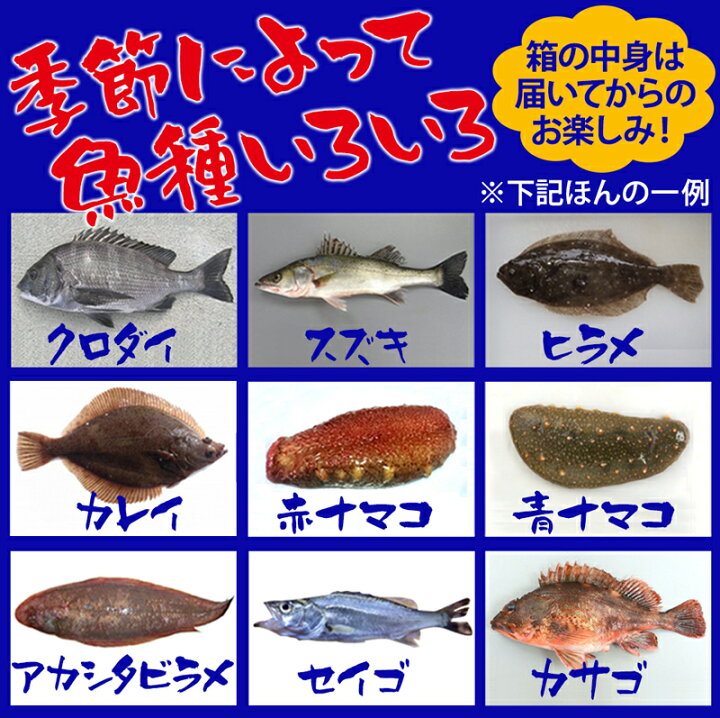 楽天市場 漁師激選 鮮魚 詰め合せ 三枚卸し 下処理 鮮魚ボックス 魚 柵 詰め合わせ 鮮魚 おまかせ 福袋 鮮魚 下処理済み 刺身 さしみ 取り寄せ お取り寄せ 鮮魚 直送 鮮魚セット 美味しい 海鮮 詰め合わせ 鮮魚セット 送料無料 産地直送 送料無料 40
