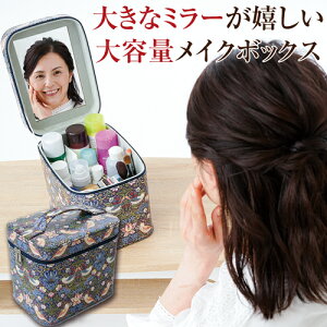 EBAEX CN{bNX t KobƊJ e RX|[` D_  킢 傫 RX{bNX  傫J ϕi RX [ P[X d؂ 