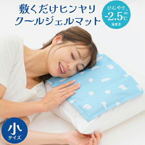 クールジェルマット エコ 就寝時 アウトドア 涼しい ひんやりマット 凍らせない やわらか 冷えすぎない 熱中症対策 繰り返し使える ヒンヤリ 小サイズ 冷却マット ひんやりグッズ 【328558】