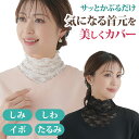 【メール便送料無料】 レース ネックカバー 付け襟 首元カバー ストレッチレース レディース 冷房対策 冷え対策 フォ…