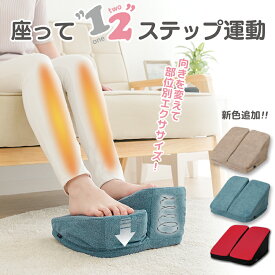 座ってあんしん ワンツーステッパー 健康 足踏み 器具 座ったまま ステッパー 下半身 ダイエット トレーニング 足腰 鍛える 高齢者 座って 足踏み健康器具 室内 足踏みマット 足ふみ運動 足首 ふくらはぎ エクササイズ フィットネス【328528】