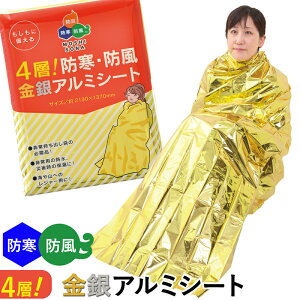  A~V[g A~ 4w 2130×1370mm ՔM fM ۉ h h ۑ\ hЗpi hЃObY h 펞 ObY ObY  ً} o AEghA W[y430026z