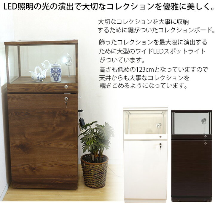 楽天市場】コレクションボード コレクションケース キュリオケース 鍵 
