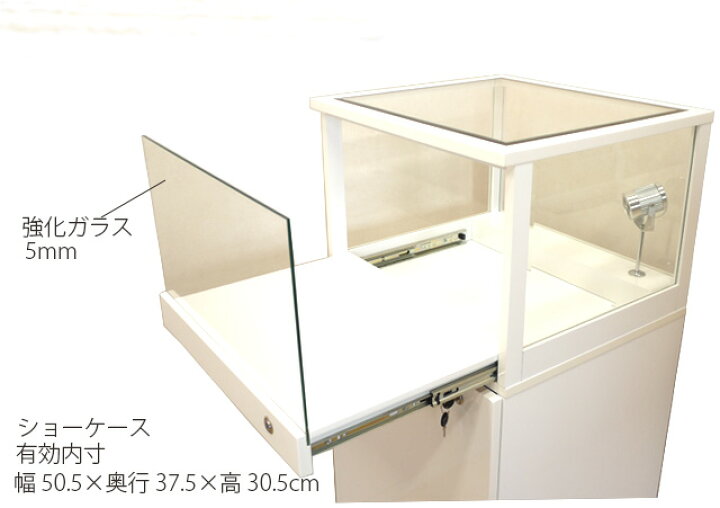 楽天市場】コレクションボード コレクションケース キュリオケース 鍵 