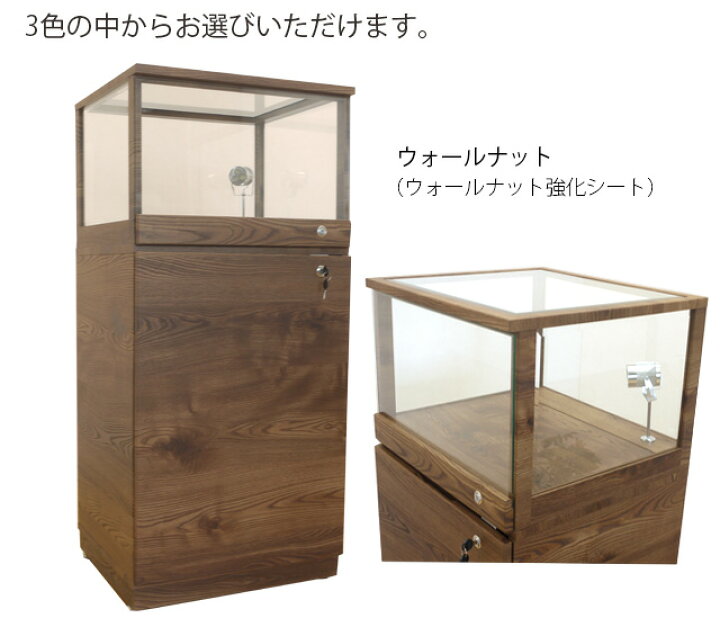 楽天市場】コレクションボード コレクションケース キュリオケース 鍵 