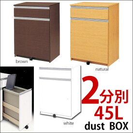 楽天市場 ダストボックス カウンター 45lの通販