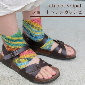 【WS010】atricot × Opal ショートトレンカレシピ Opal 編み物初心者 編み図