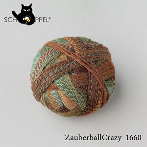ショッペル SCHOPPEL 靴下用毛糸 CRAZY ZAUBERBALL 1660 ドイツ製 編み物 手編み ハンドメイド