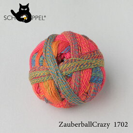 ショッペル SCHOPPEL ZAUBERBALL CRAZY（ザウバーボール クレイジー）1702 / ソックヤーン 靴下用毛糸 てあみ ニット 手編み 編み物 手芸 ハンドメイド 手作り かぎ針 棒針