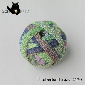 ショッペル SCHOPPEL ZAUBERBALL CRAZY（ザウバーボール クレイジー）2170 / ソックヤーン 靴下用毛糸 てあみ ニット 手編み 編み物 手芸 ハンドメイド 手作り かぎ針 棒針
