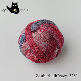 ショッペル SCHOPPEL ZAUBERBALL CRAZY（ザウバーボール クレイジー）2231 / ソックヤーン 靴下用毛糸 てあみ ニット 手編み 編み物 手芸 ハンドメイド 手作り かぎ針 棒針