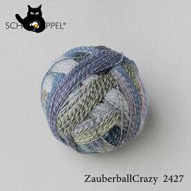 ショッペル SCHOPPEL ZAUBERBALL CRAZY（ザウバーボール クレイジー）2427 / ソックヤーン 靴下用毛糸 てあみ ニット 手編み 編み物 手芸 ハンドメイド 手作り かぎ針 棒針