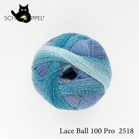 ショッペル SCHOPPEL 毛糸 Lace Ball 100 Pro 2518（レースボール100 プロ）ドイツ製 編み物 手編み ハンドメイド