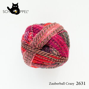 Vby SCHOPPEL ZAUBERBALL CRAZY 2631 iUEo[{[ NCW[j / \bN[ Cpю Ă jbg ҂ ҂ݕ | nhCh  j _j