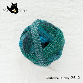 ショッペル SCHOPPEL ZAUBERBALL CRAZY 2542 （ザウバーボール クレイジー） / ソックヤーン 靴下用毛糸 てあみ ニット 手編み 編み物 手芸 ハンドメイド 手作り かぎ針 棒針