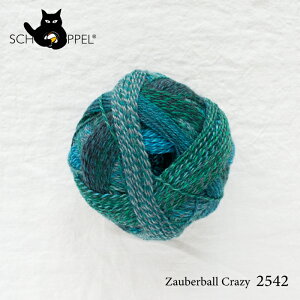 Vby SCHOPPEL Cpю ZAUBERBALL CRAZY 2542 iUEo[{[ NCW[j hCc ҂ݕ ҂ nhCh