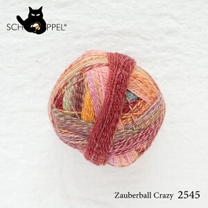 Vby SCHOPPEL ZAUBERBALL CRAZY 2545 iUEo[{[ NCW[j / \bN[ Cpю Ă jbg ҂ ҂ݕ | nhCh  j _j