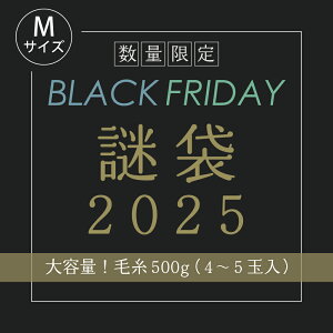 2025 BLACKFRIDAY܁yMTCYzю500gȓeN[|pOK ubNtCf[ 