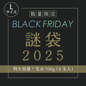 2025 BLACKFRIDAY܁yLTCYzю700gȓeN[|pOK ubNtCf[ 