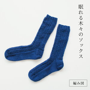 yK-013zKayo ؁X̃\bNX Vs