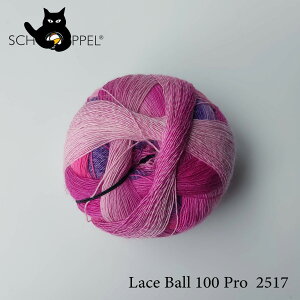 �V���b�y�� SCHOPPEL Lace Ball 100 Pro�i���[�X�{�[��100 �v���j2517 �h�C�c�� �҂ݕ� ��҂� �n���h���C�h