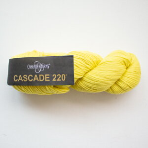 Cascade 220iJXP[h[j1070 ю ҂ 肠 ҂ݕ