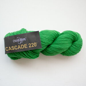 Cascade 220iJXP[h[j2409 ю ҂ 肠 ҂ݕ