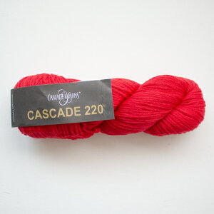Cascade 220iJXP[h[j8895 ю ҂ 肠 ҂ݕ