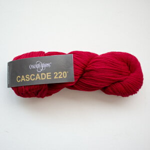 Cascade 220iJXP[h[j9404 ю ҂ 肠 ҂ݕ