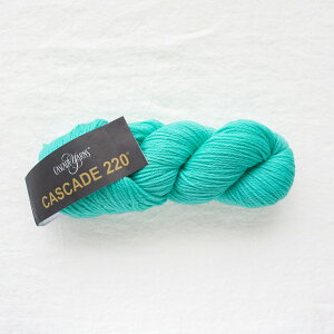 Cascade 220iJXP[h[j1072 ю ҂ 肠 ҂ݕ