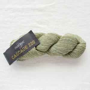 Cascade 220iJXP[h[j1082 ю ҂ 肠 ҂ݕ