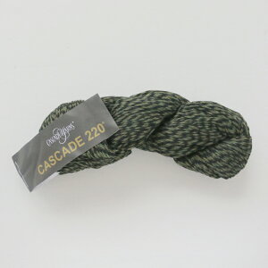 Cascade 220iJXP[h[j1089 ю ҂ 肠 ҂ݕ