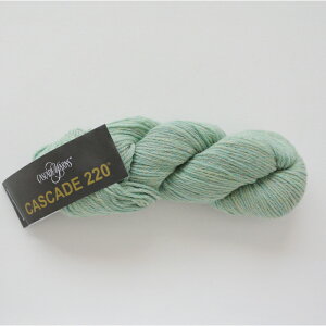 Cascade 220iJXP[h[j1090 ю ҂ 肠 ҂ݕ