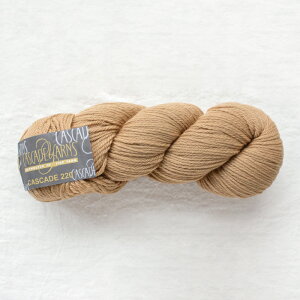 Cascade 220iJXP[h[j8622 ю ҂ 肠 ҂ݕ