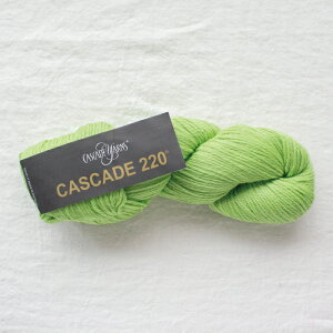 Cascade 220iJXP[h[j8910 ю ҂ 肠 ҂ݕ
