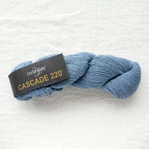 Cascade 220iJXP[h[j9325 ю ҂ 肠 ҂ݕ